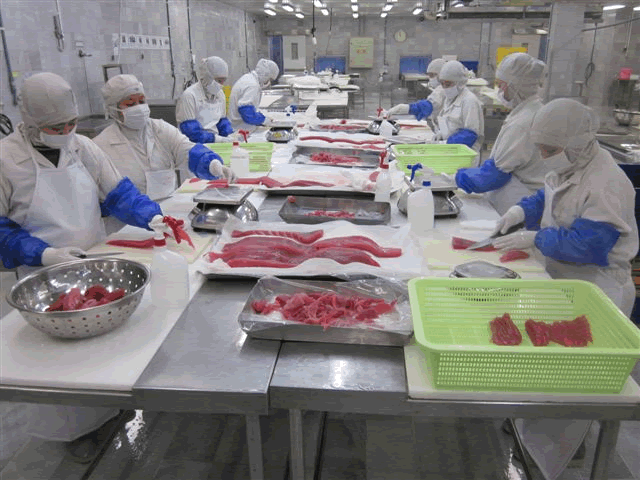 Tuna 12 Tuna 12